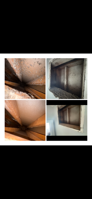 Collage of four views of a dusty, stained air vent or duct opening on a ceiling and wall