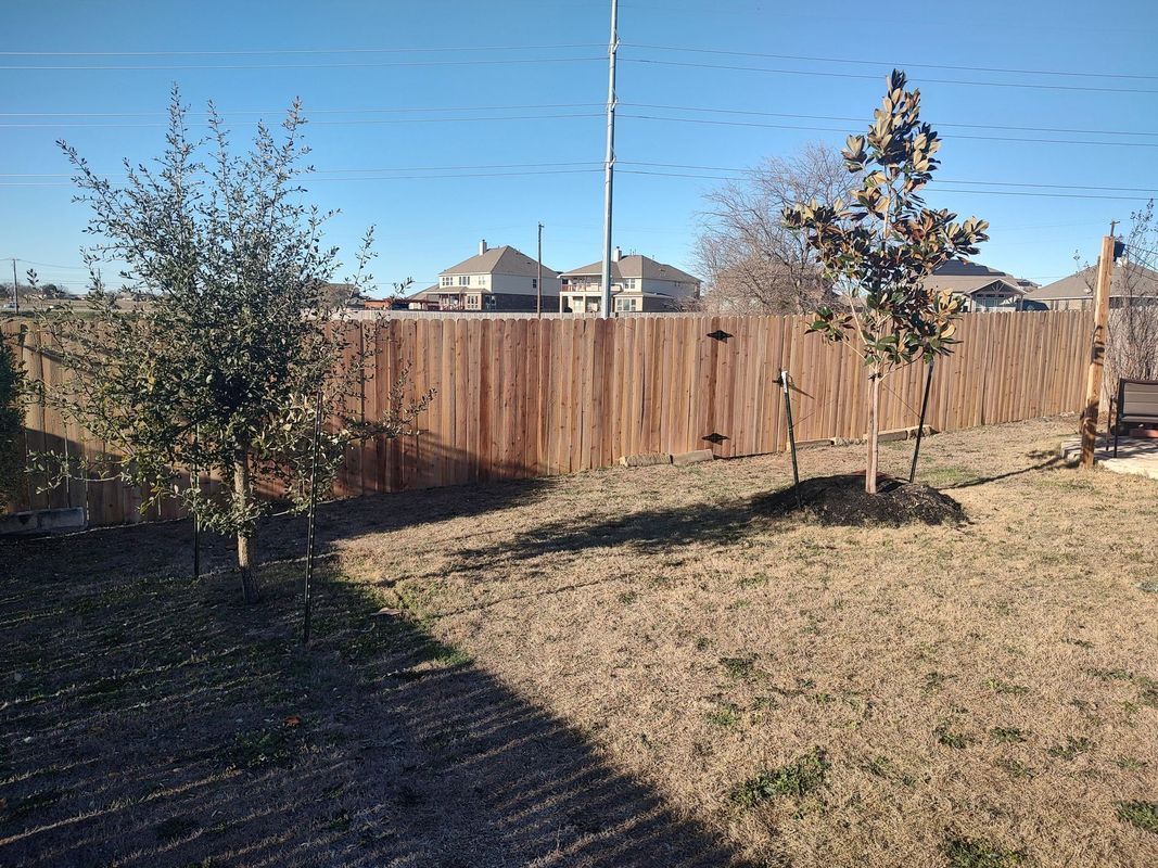 A backyard with a wooden fence and trees.