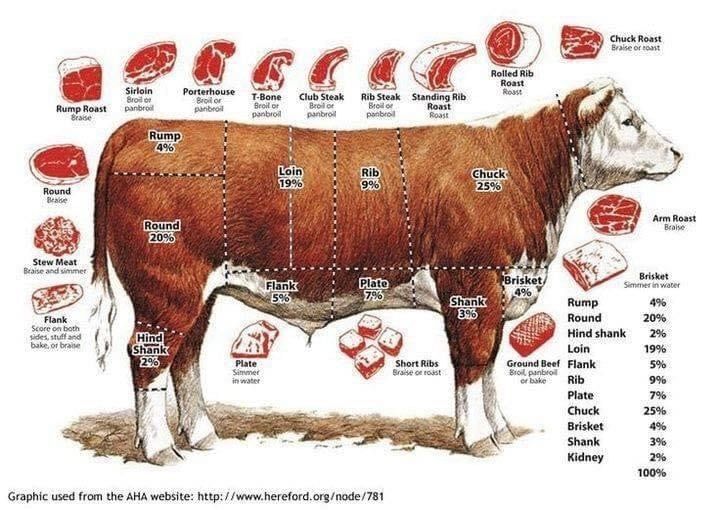 A diagram of a cow showing different cuts of meat