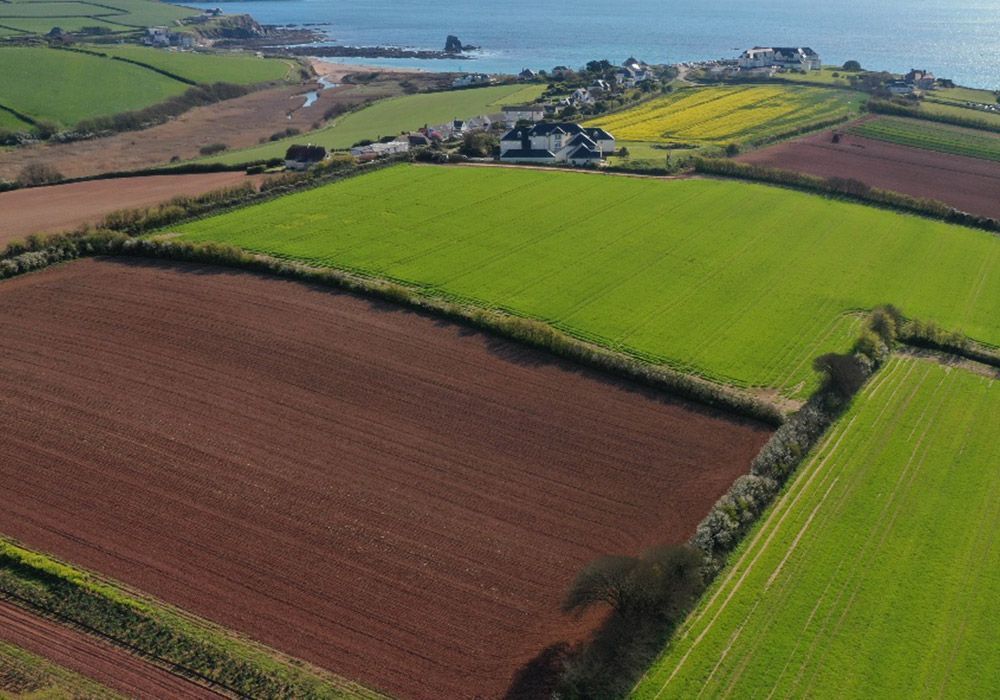 Fields of green, brown, and yellow with a coastal village in the background, by a body of water.