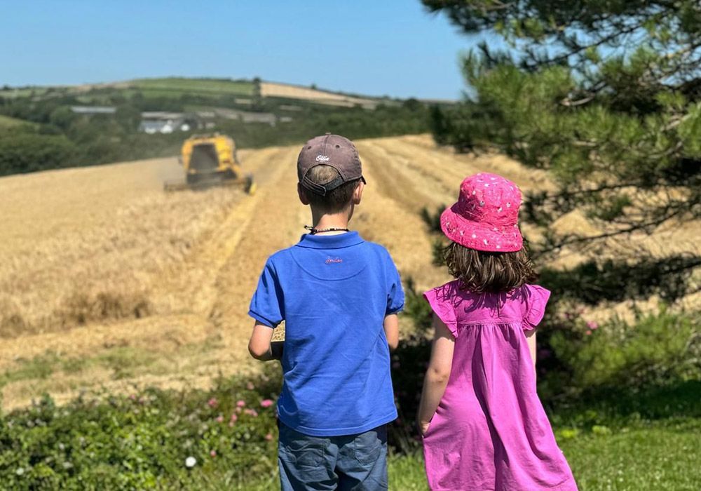 Two children watching a combine harvester in a golden wheat field on a sunny day.