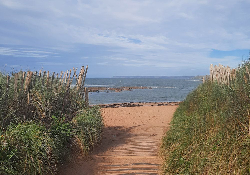 Sandy path leading to ocean, framed by dune grass and wooden fences, under a cloudy sky.