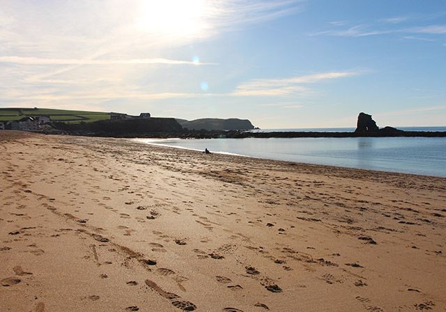 Sandy beach with ocean and rocky headland under a bright sun.