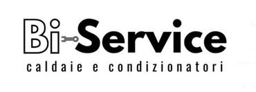BI SERVICE logo