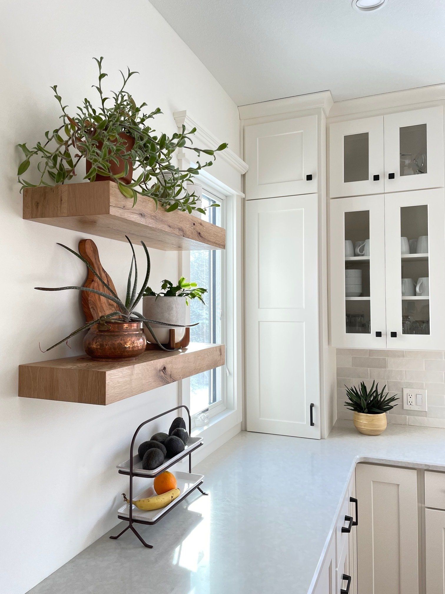 A kitchen with two wooden shelves filled with potted plants.
