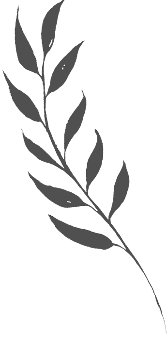 Brown leaf sprig against a white background.