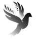 icona logo 