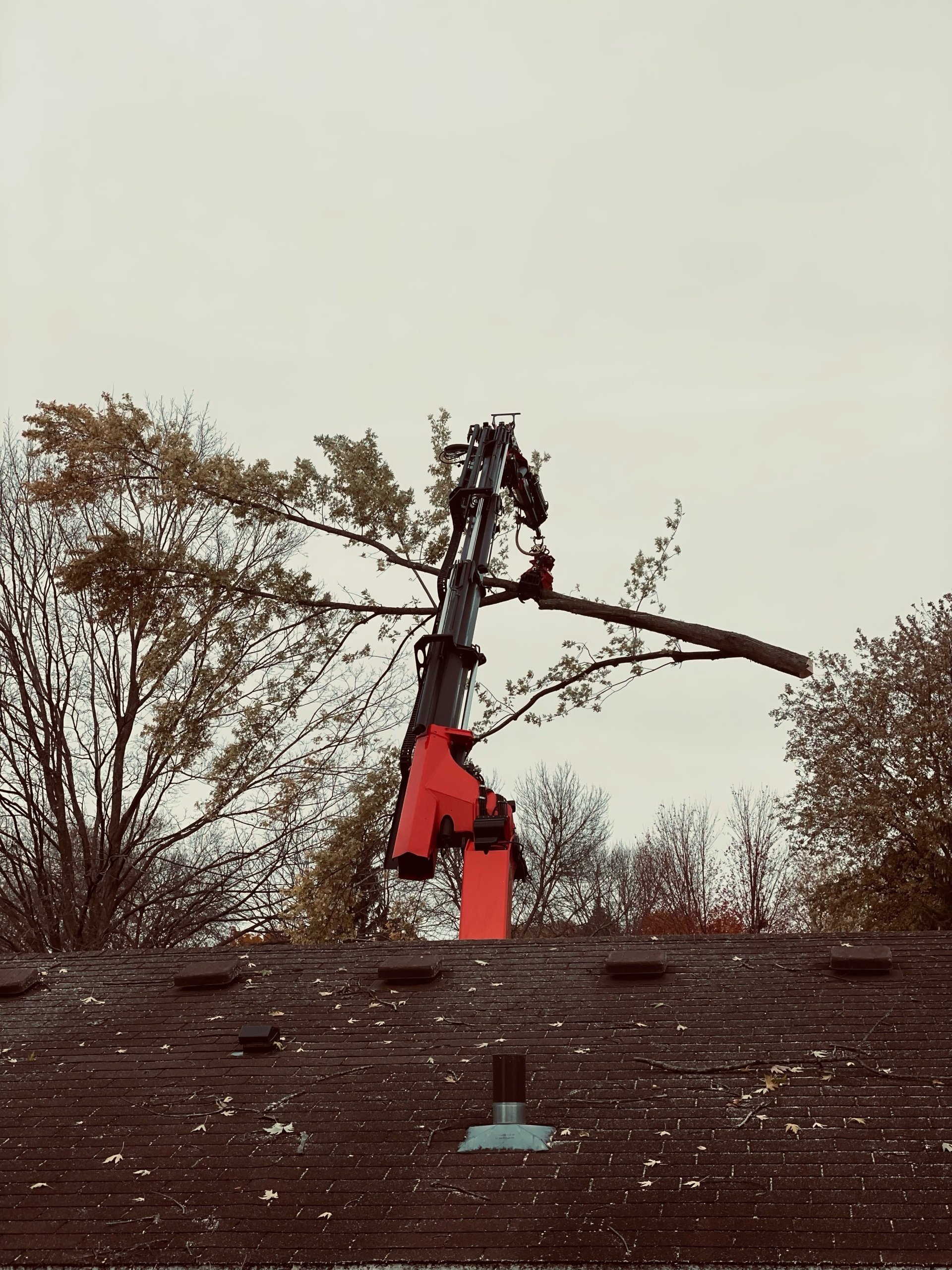 24/7 Tree Removal Company Madison, WI Treewerx