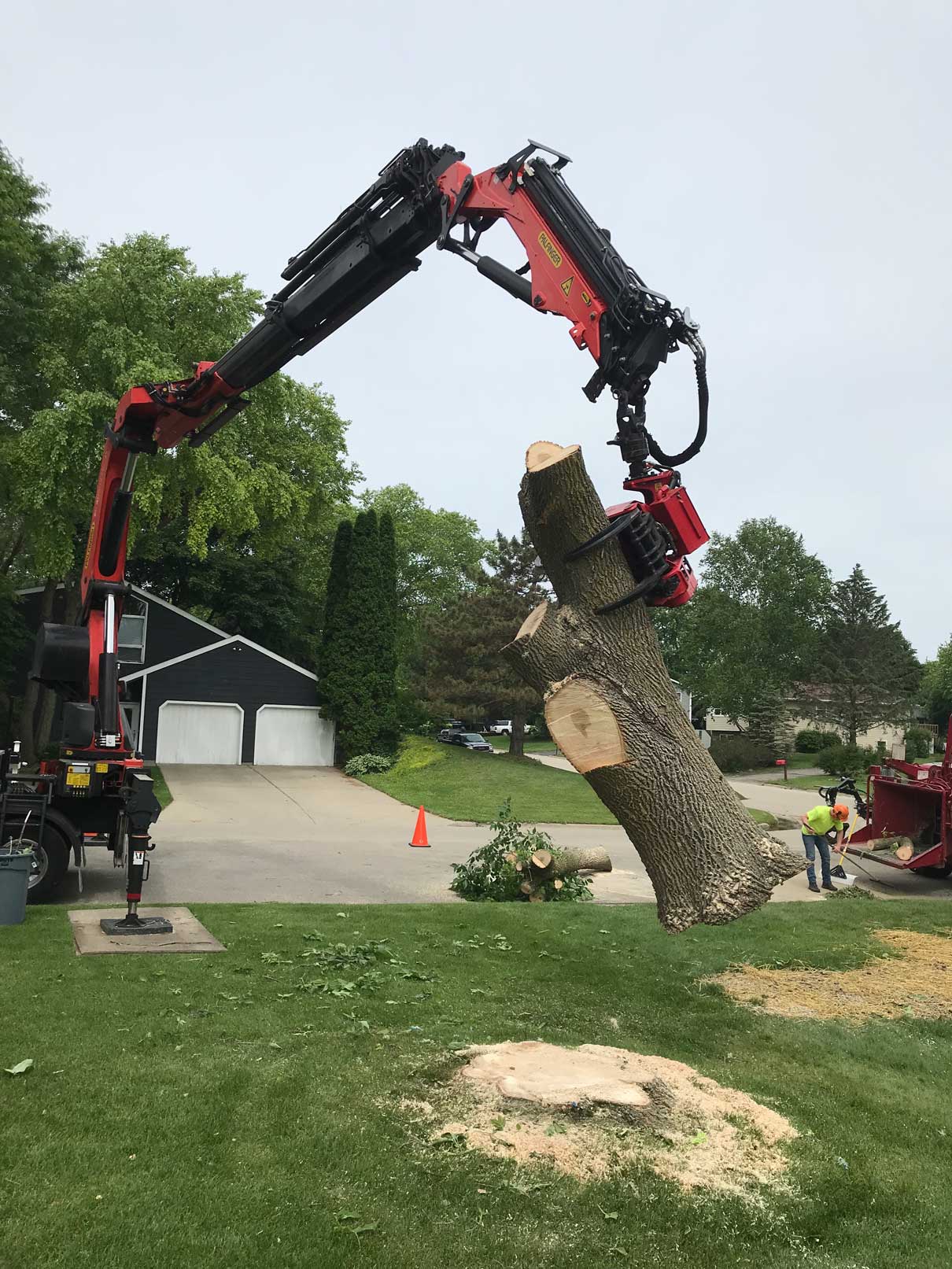 Crane carrying tree — Madison, WI — Treewerx