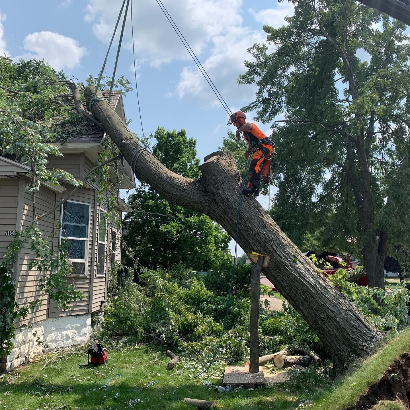 Tree Removal for Insurance Claim in Madison Wisconsin
