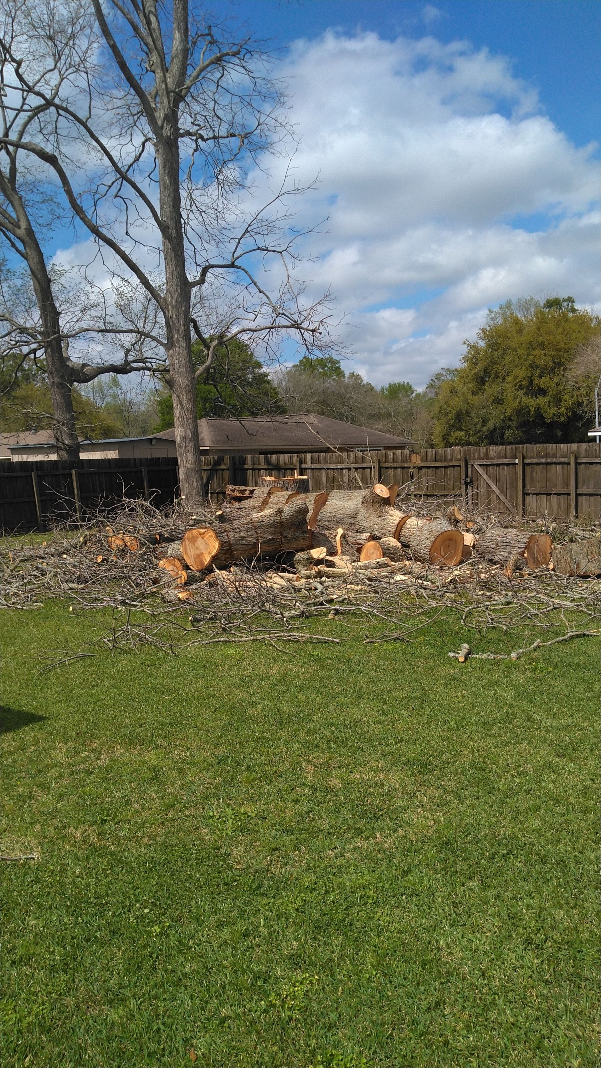 Burned brush pile with smoke beside a leafless tree in a grassy yard under a blue sky