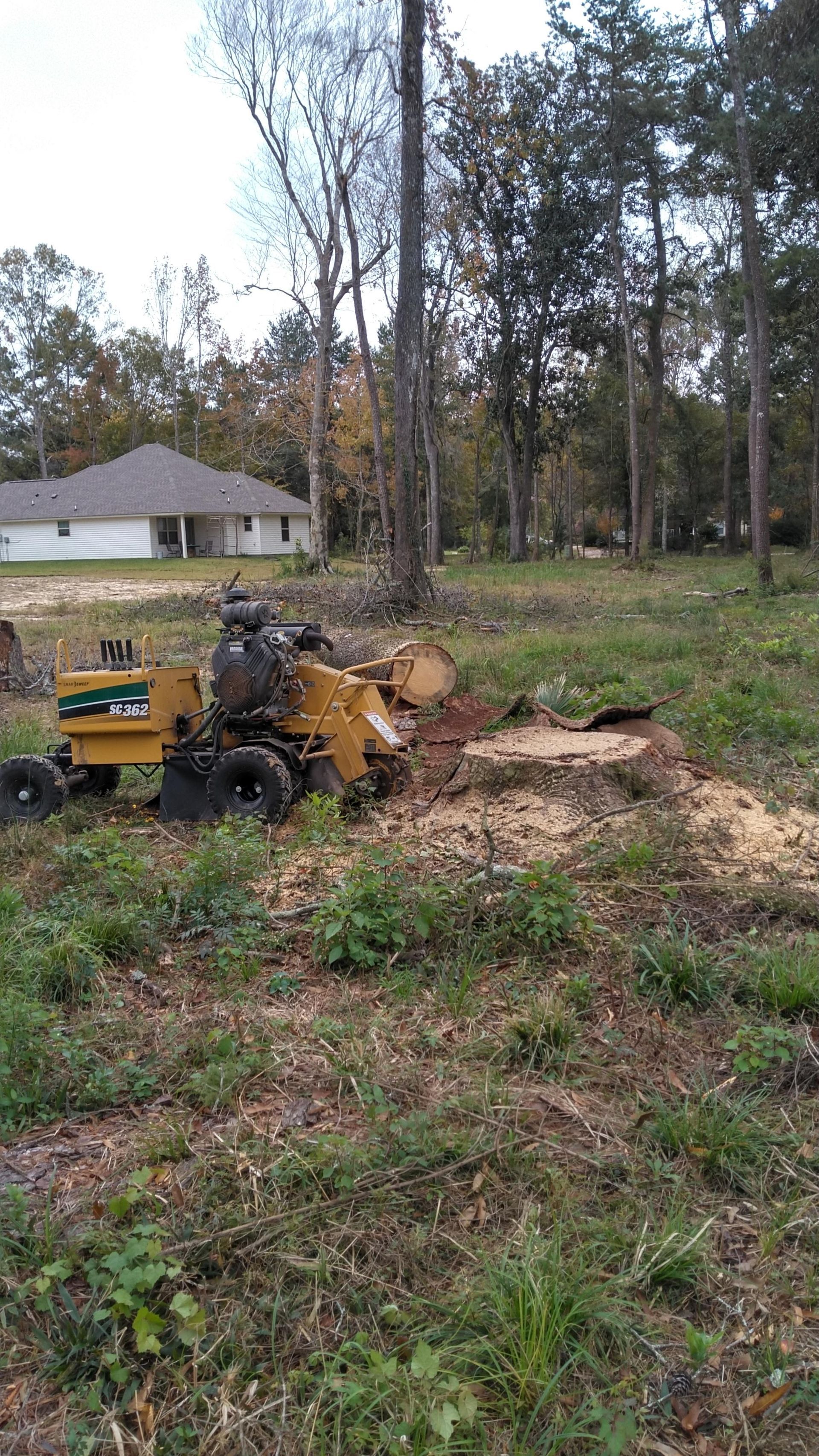 Yellow wood chipper clearing brush in a grassy yard near trees and a house