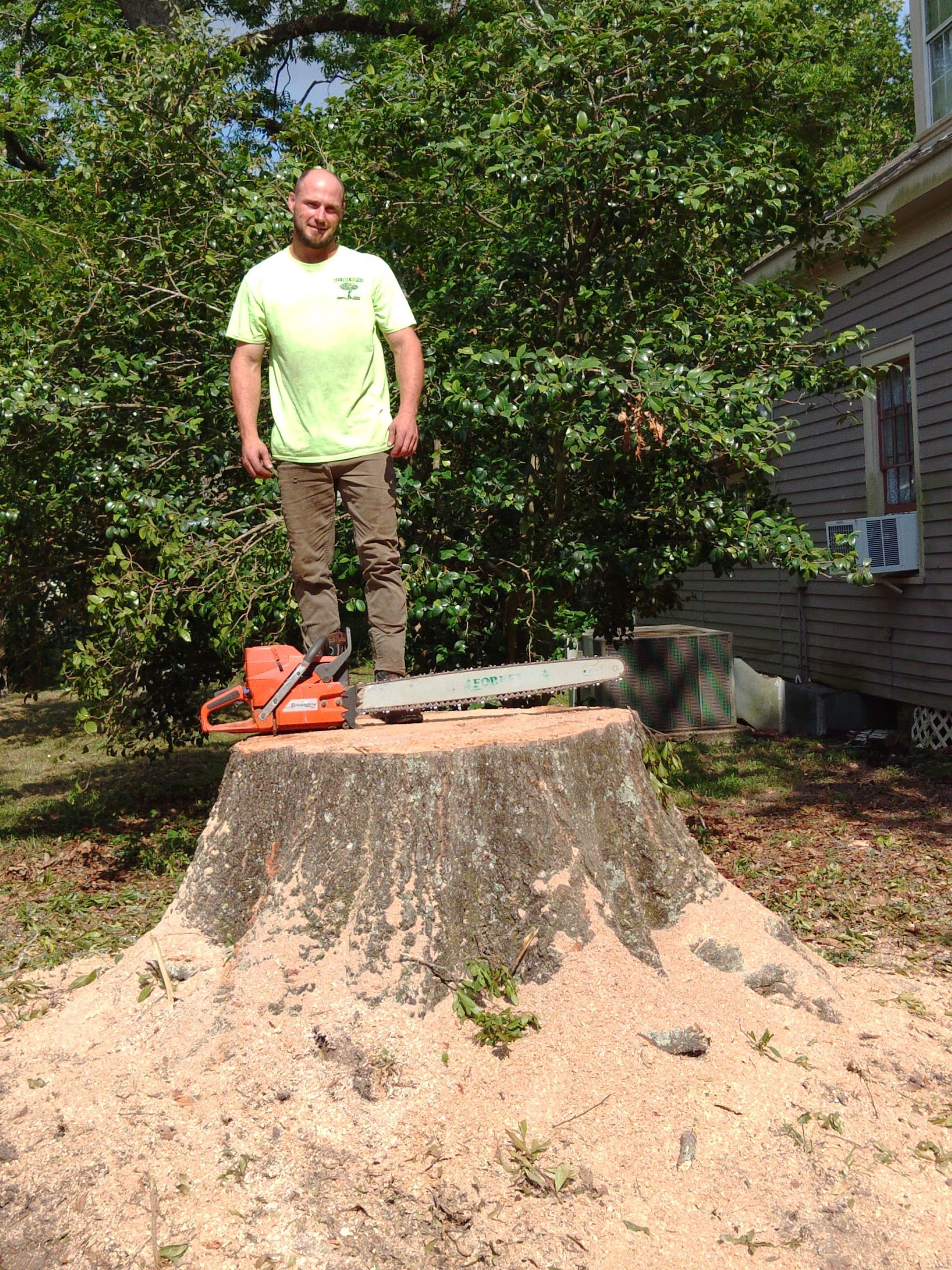 Person standing on a large tree stump holding a chainsaw in a sunny yard
