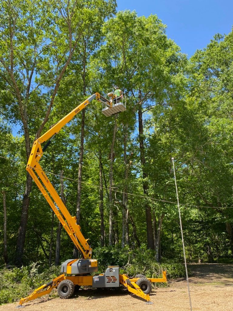 Yellow boom lift raised beside tall green trees in a wooded area