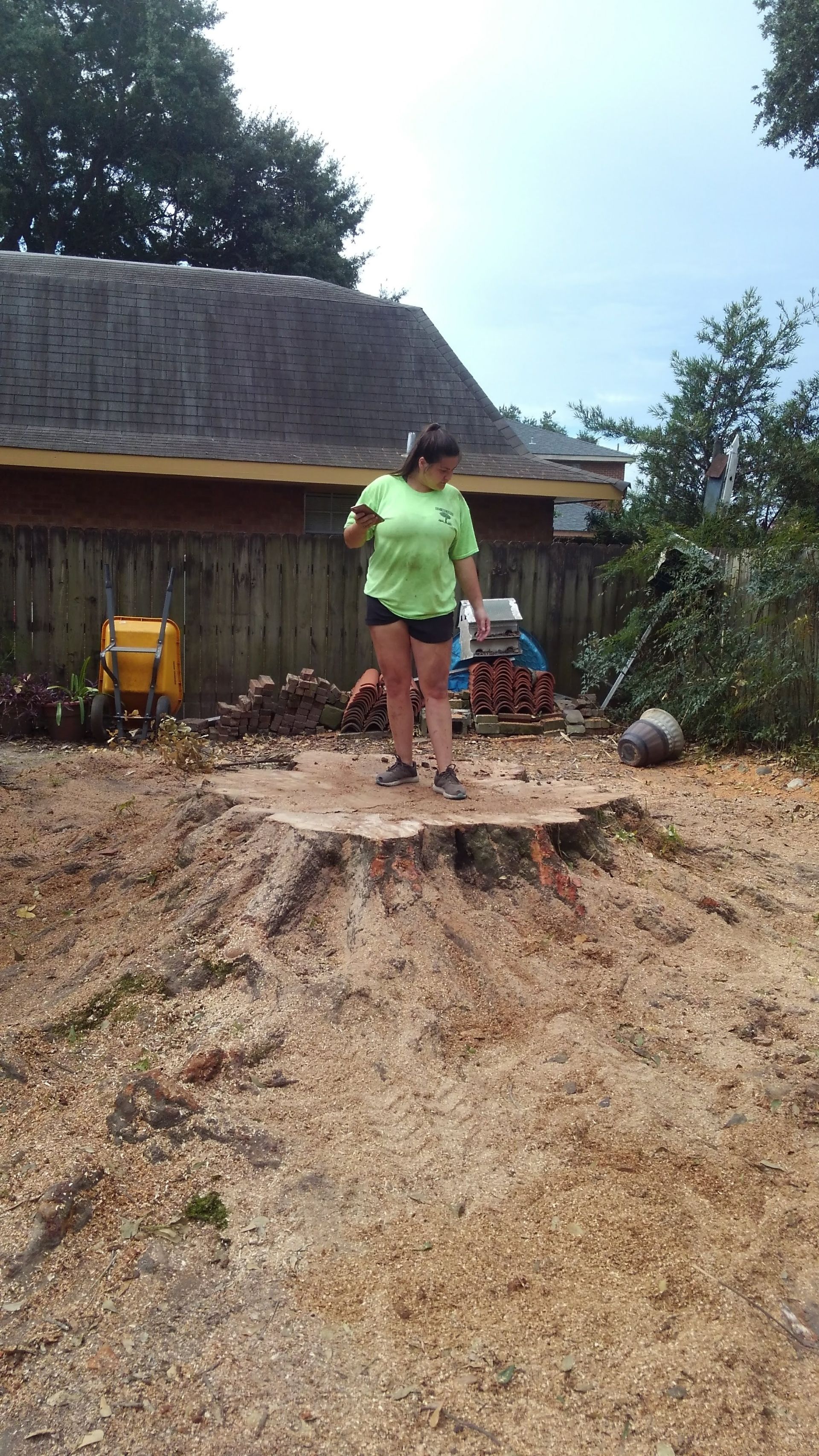 Person standing on a large tree stump in a yard beside a house, with a bicycle nearby.