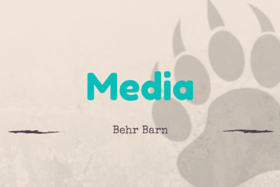 “Media” title on a beige background with a gray paw print and the subtitle “Behr Barn”