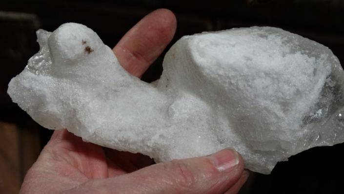 White sculpted object resembling a bird, held in a person’s hand against a dark background
