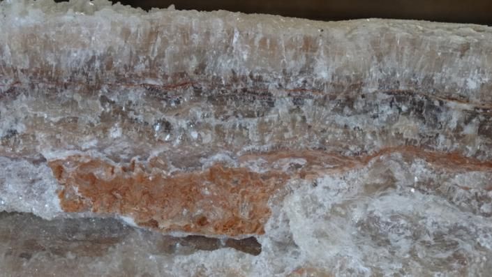 Close-up of layered brown and white rock with textured mineral deposits and a narrow dark crack