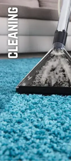 Cleaning Services