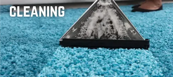 Cleaning Services