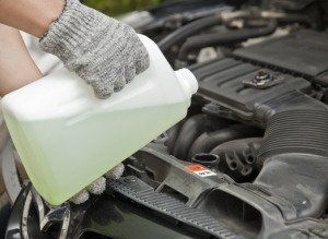 Cooling | General Automotive Servicenter