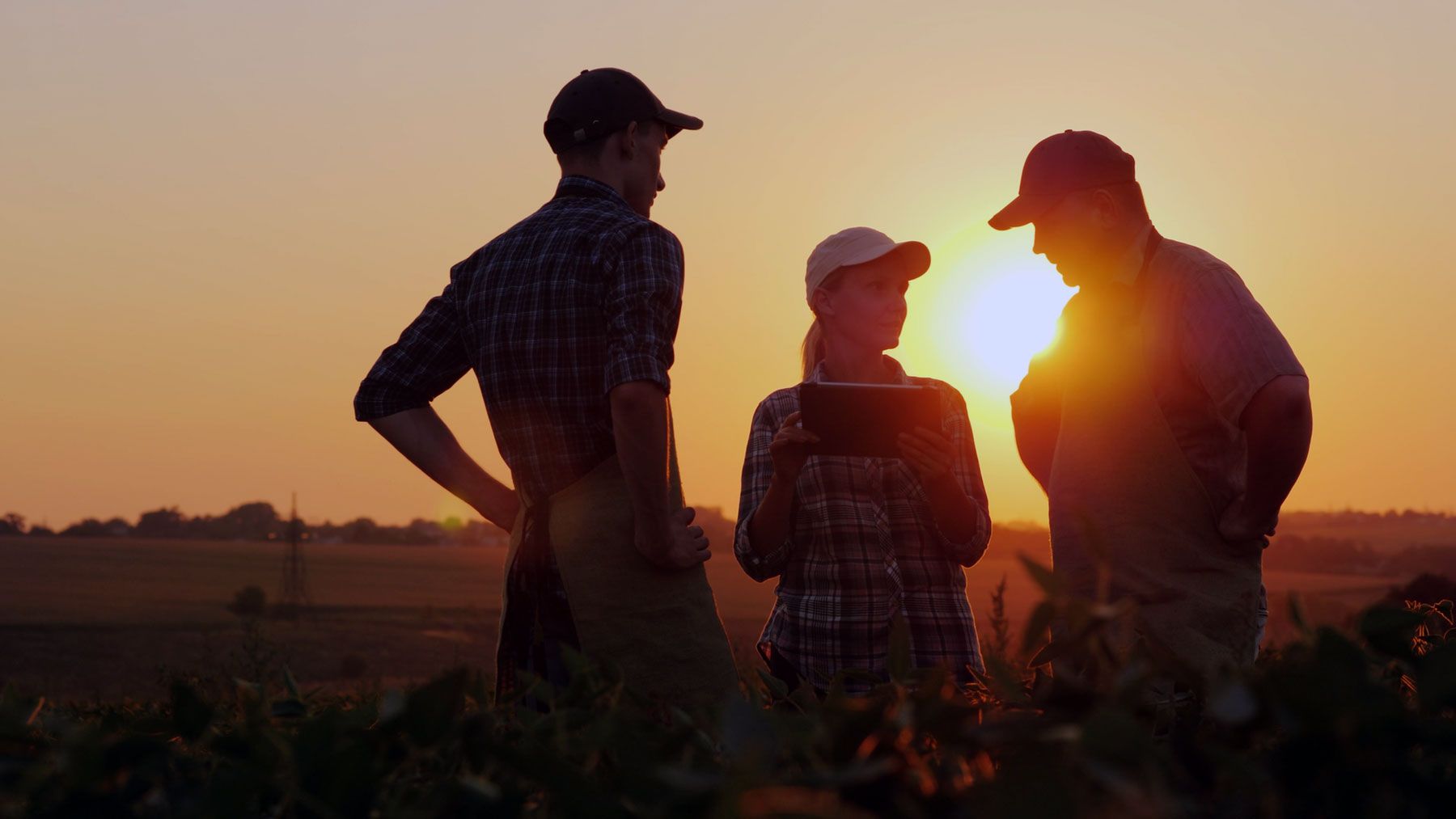 Ranch family considering how to plan for the future and honoring their family legacy.