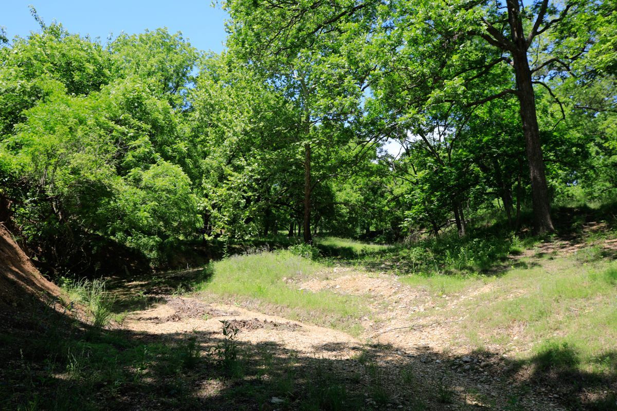 Pruitt Ranch Dispersal Auction