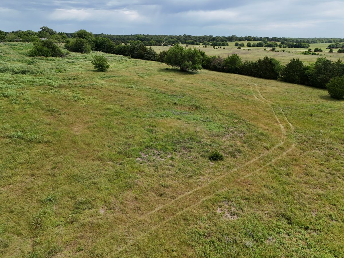 Pruitt Ranch Dispersal Auction