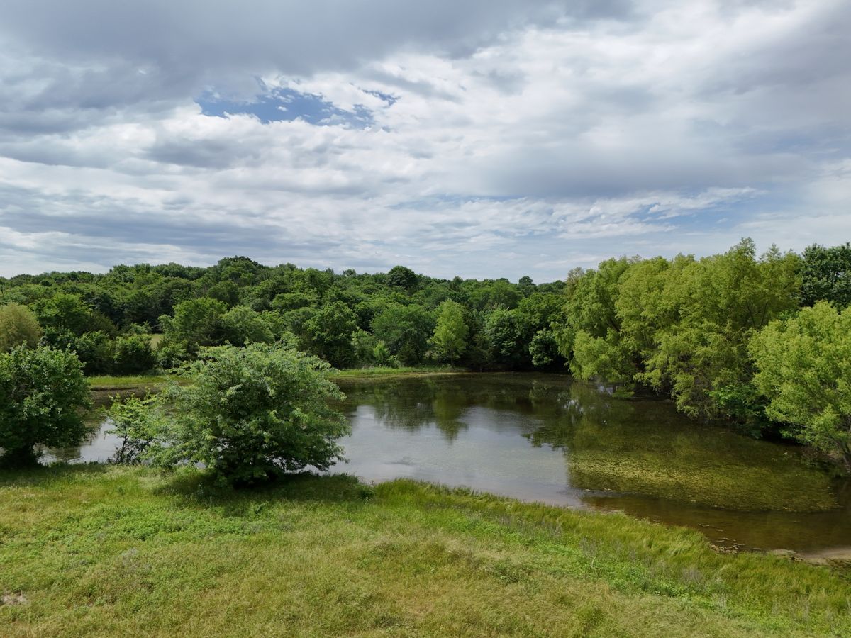Pruitt Ranch Dispersal Auction