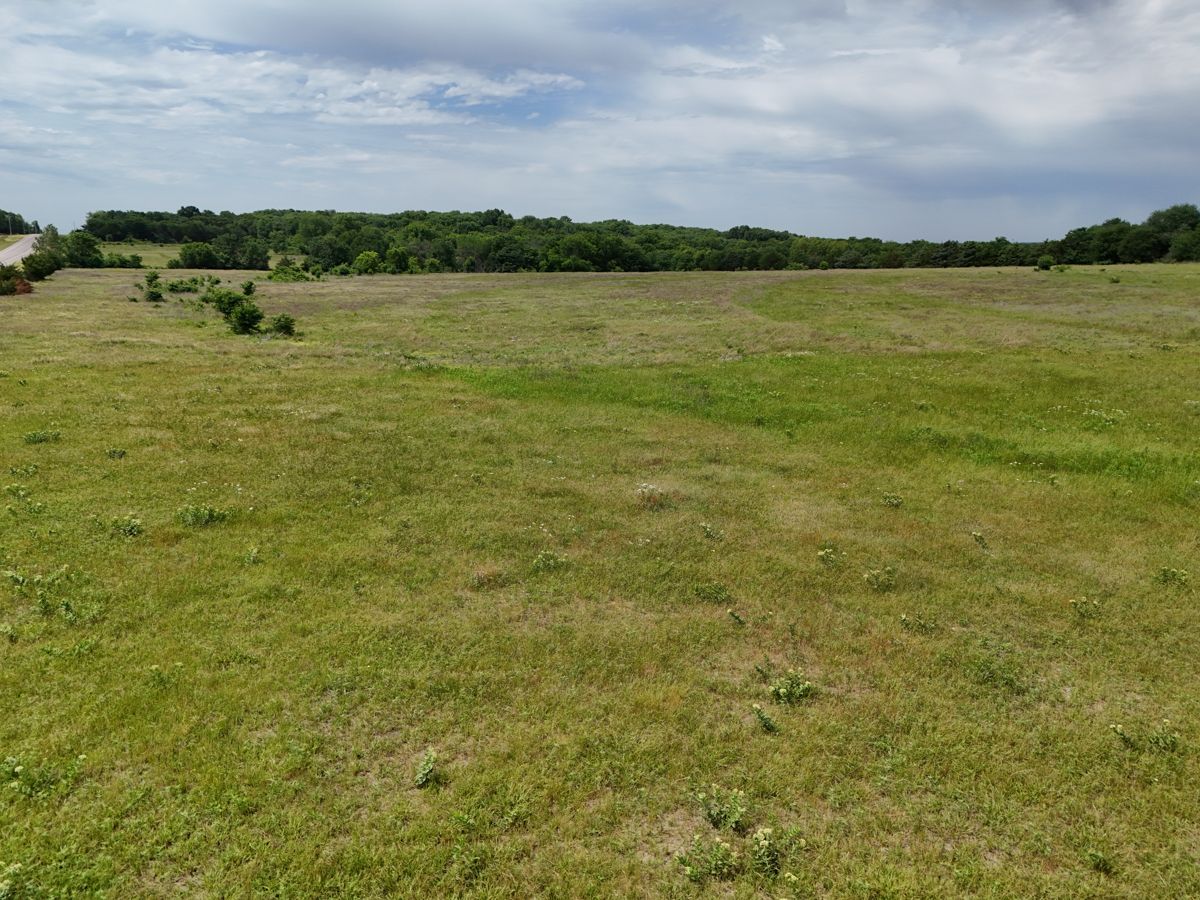 Pruitt Ranch Dispersal Auction