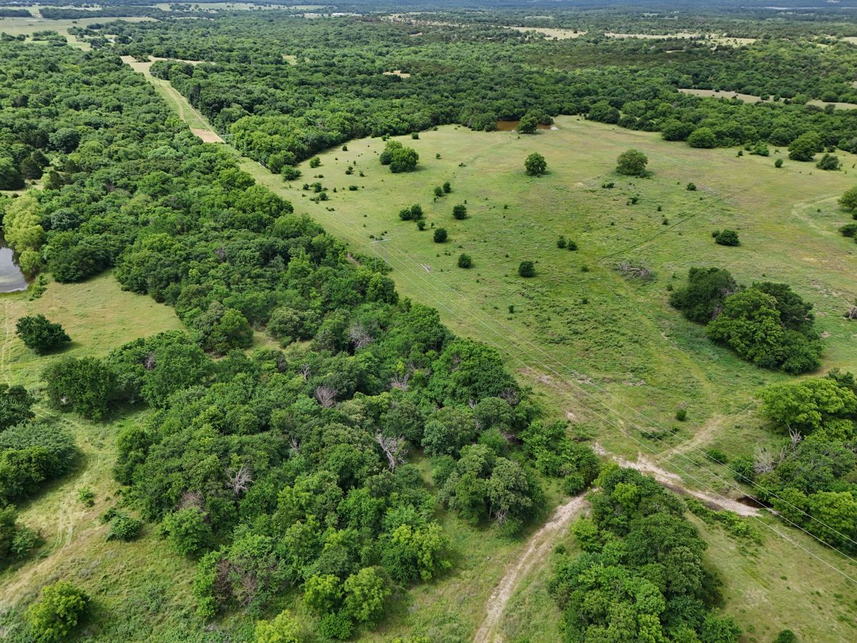 Pruitt Ranch Dispersal Auction