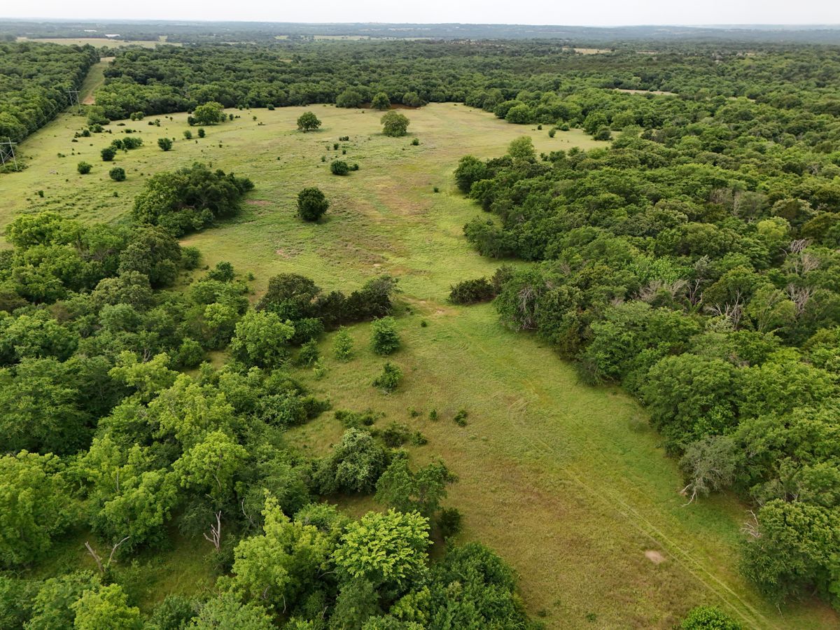 Pruitt Ranch Dispersal Auction