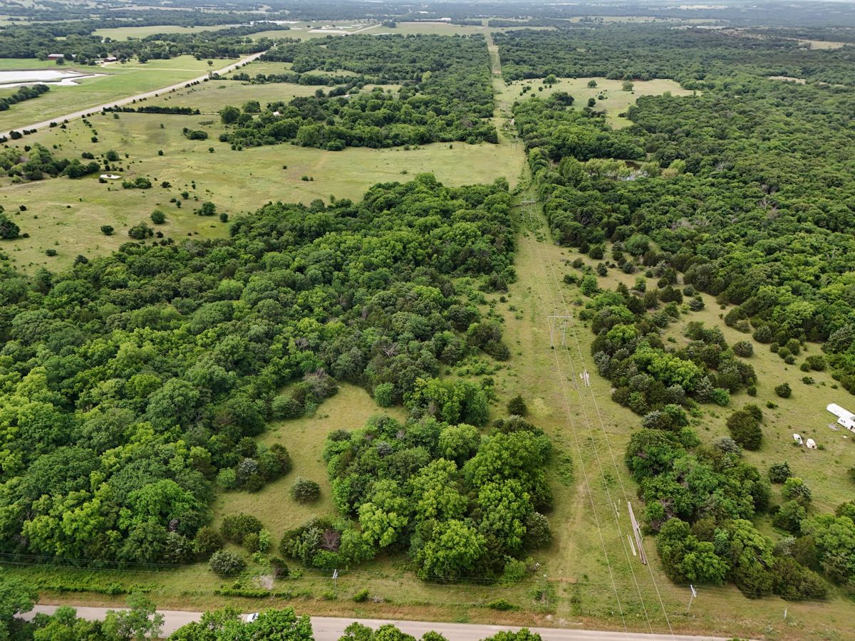Pruitt Ranch Dispersal Auction