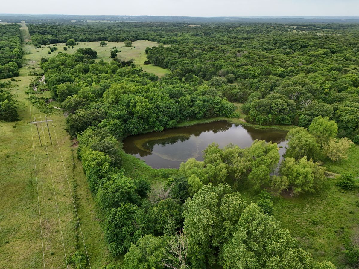 Pruitt Ranch Dispersal Auction
