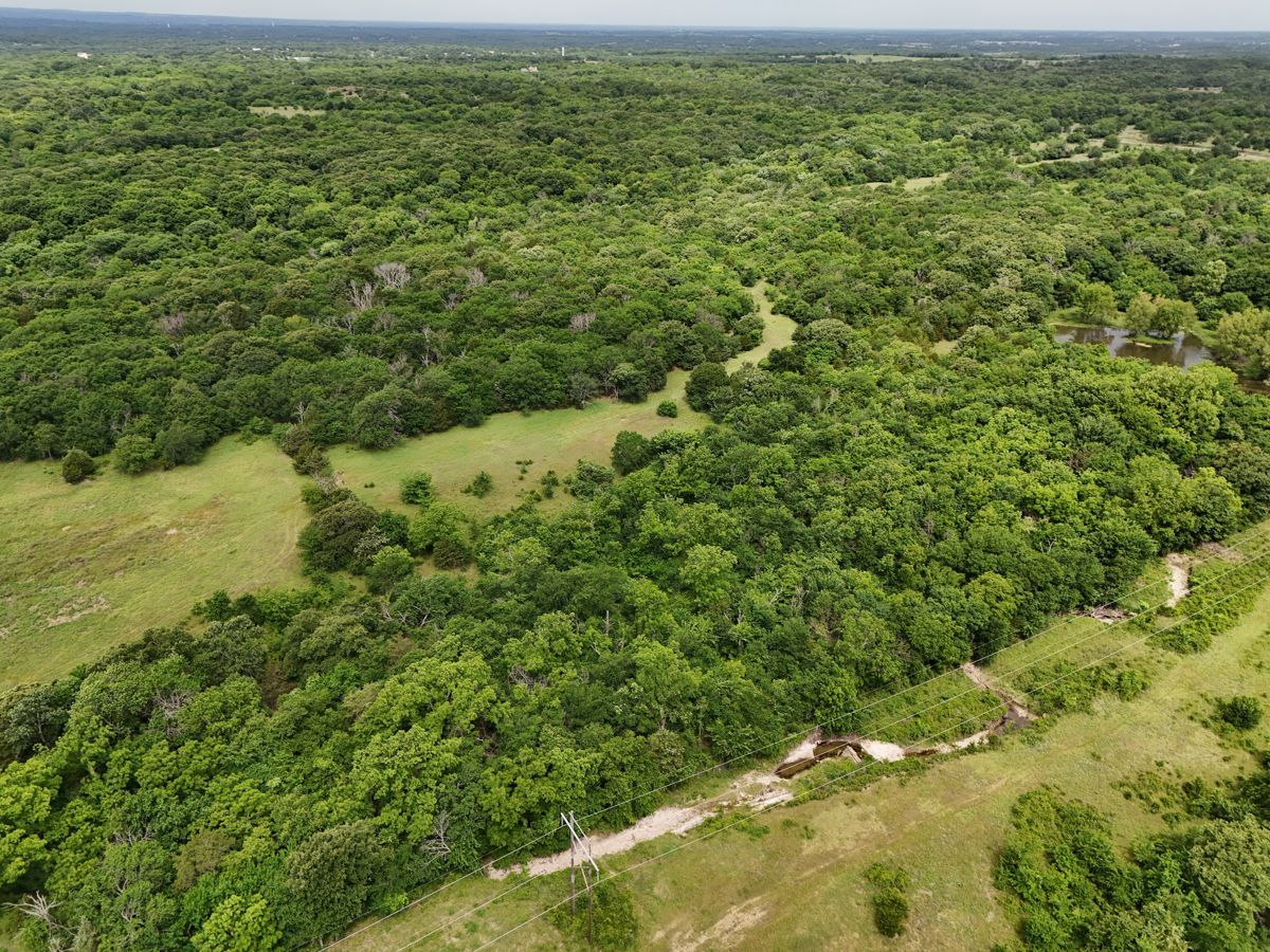 Pruitt Ranch Dispersal Auction