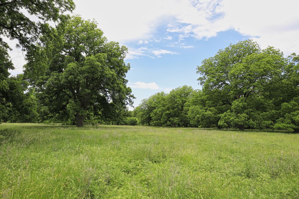 Pruitt Ranch Dispersal Auction