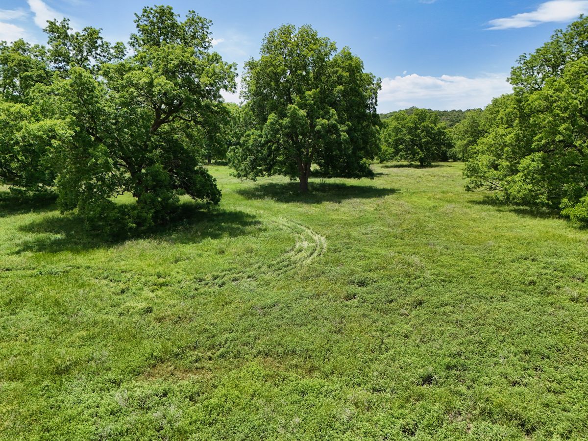 Pruitt Ranch Dispersal Auction