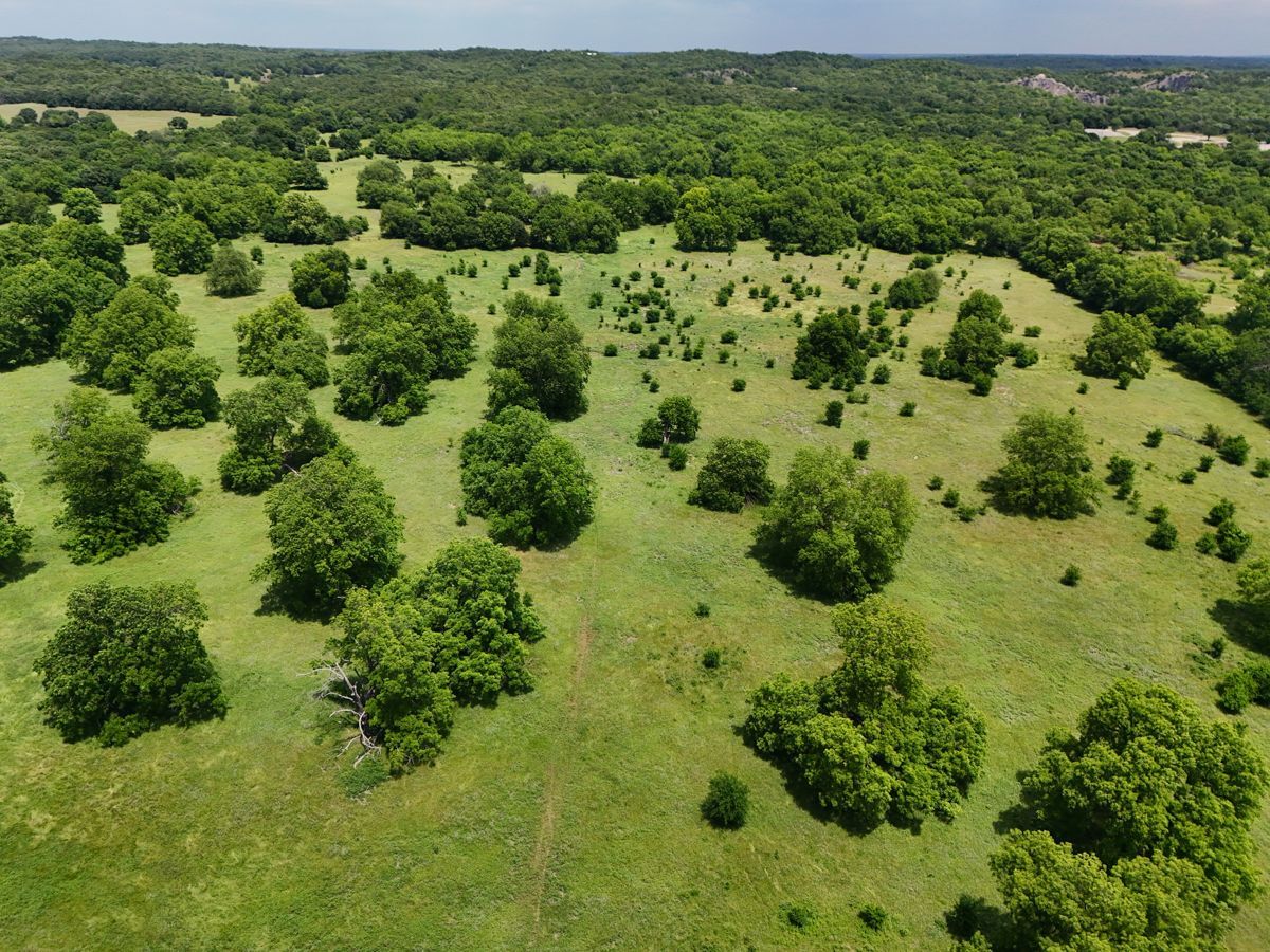 Pruitt Ranch Dispersal Auction