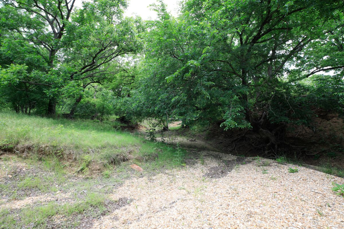 Pruitt Ranch Dispersal Auction