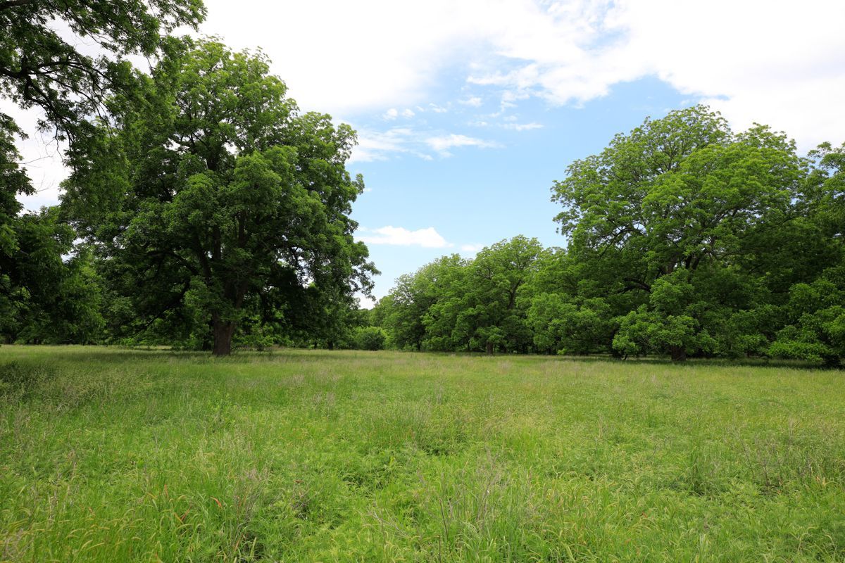 Pruitt Ranch Dispersal Auction