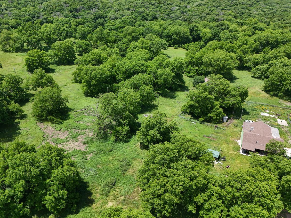 Pruitt Ranch Dispersal Auction
