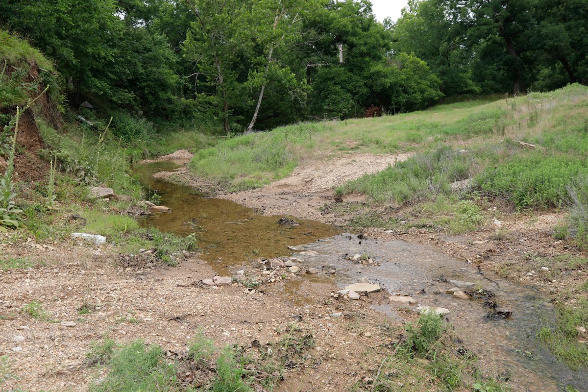 Pruitt Ranch Dispersal Auction