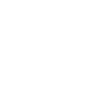 Tire Icon