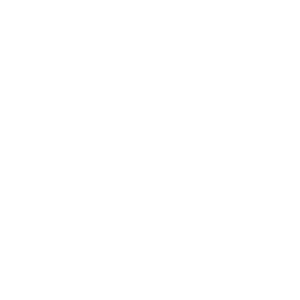 Tire Icon