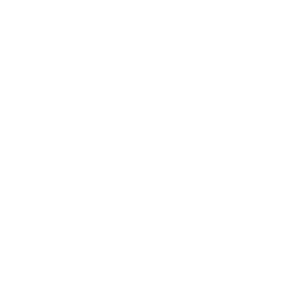 Tire Icon