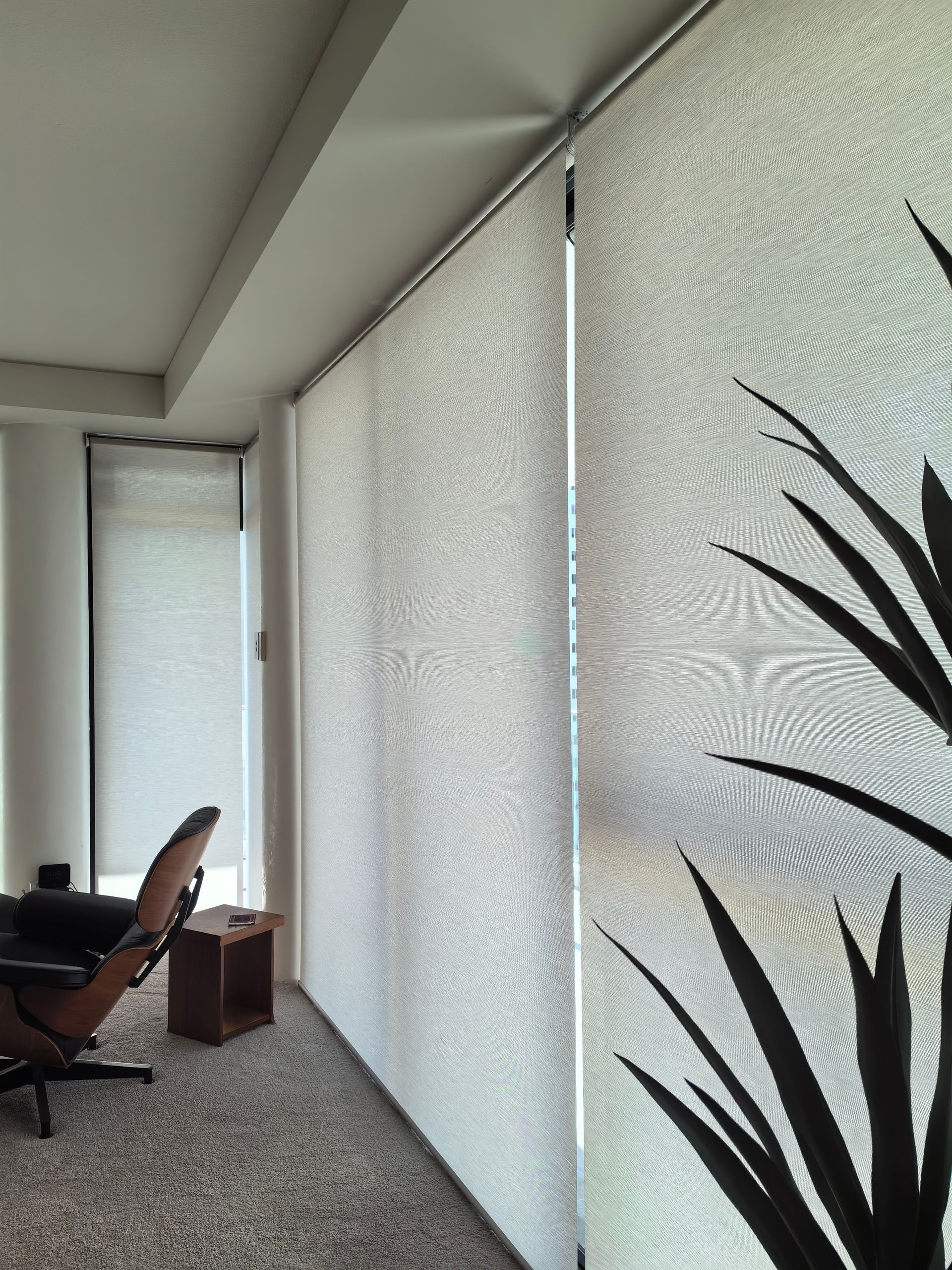 A room with a chair and a plant in it