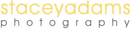 Staceyadams photography logo in yellow and gray text on a white background