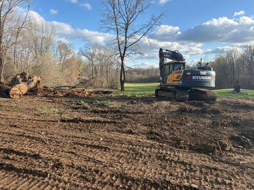 Excavator on a muddy clearing with leafless trees under a partly cloudy sky
