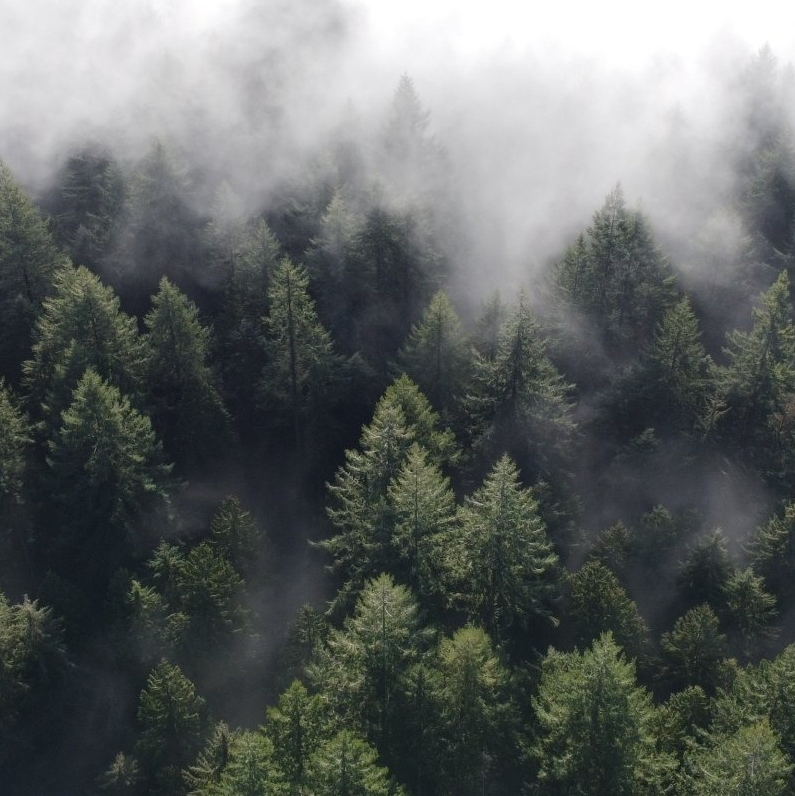 Wholesale Lumber Products