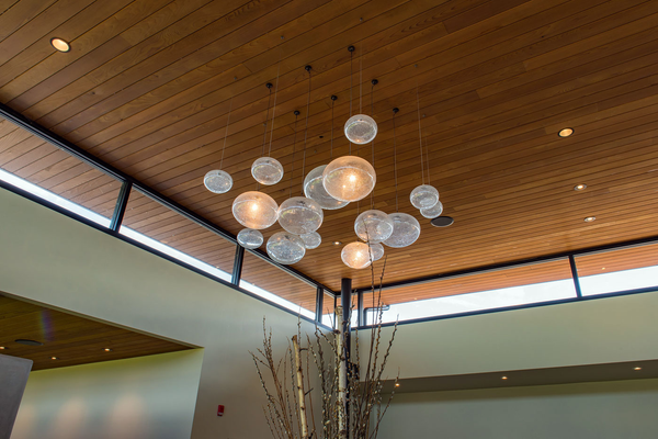 Western Red Cedar
